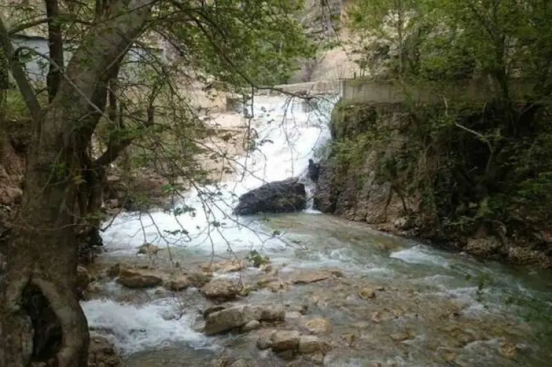 پارک جنگلی پروز - تصویر 5
