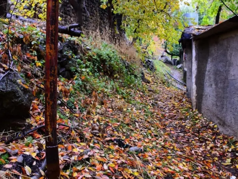 روستای تالون - تصویر 5