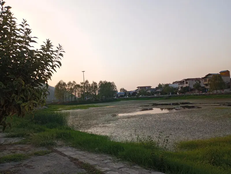 دریاچه کومله لنگرود - تصویر 4
