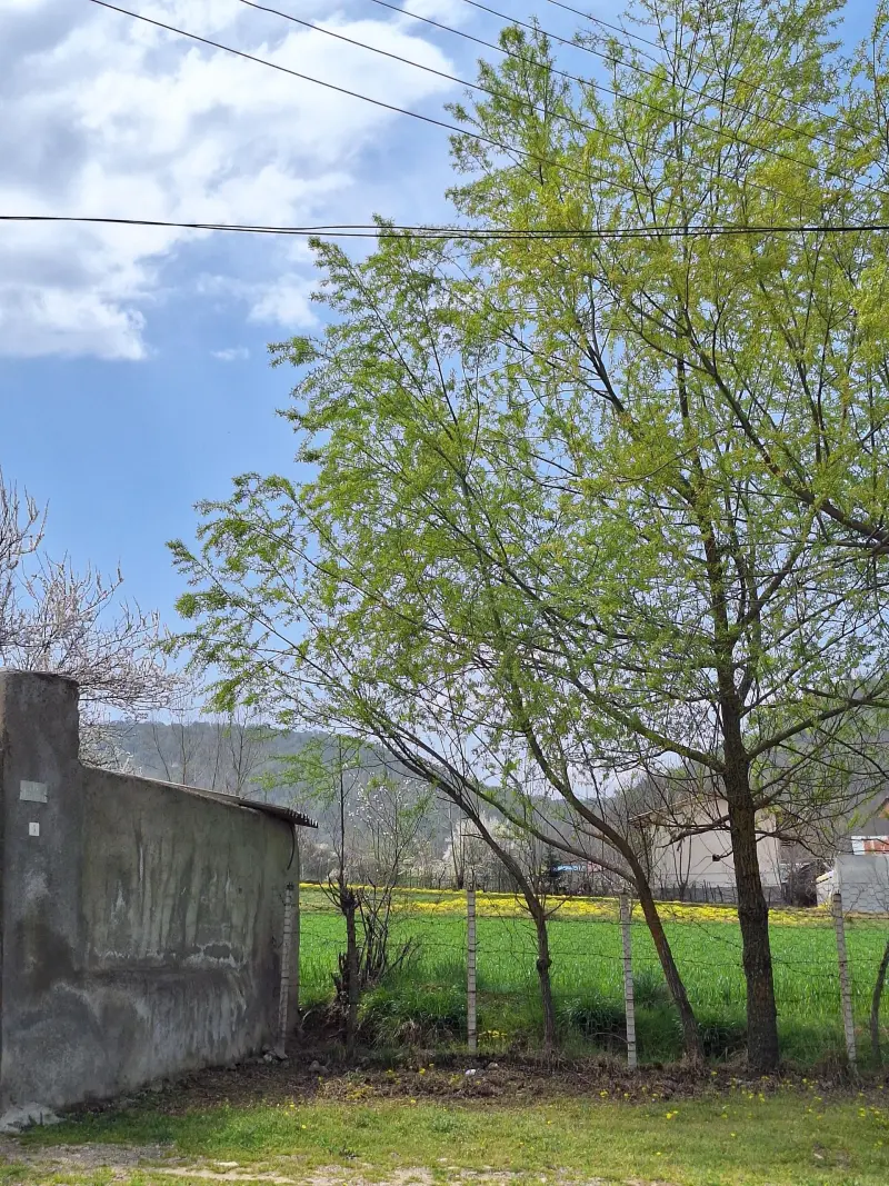 روستای لالا - تصویر 6