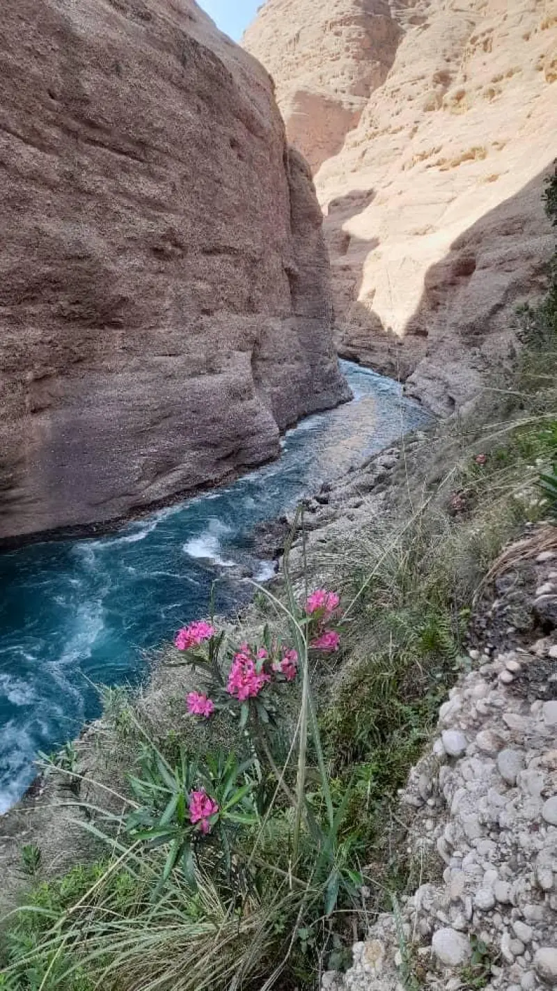 دره تنگوان - تصویر 5