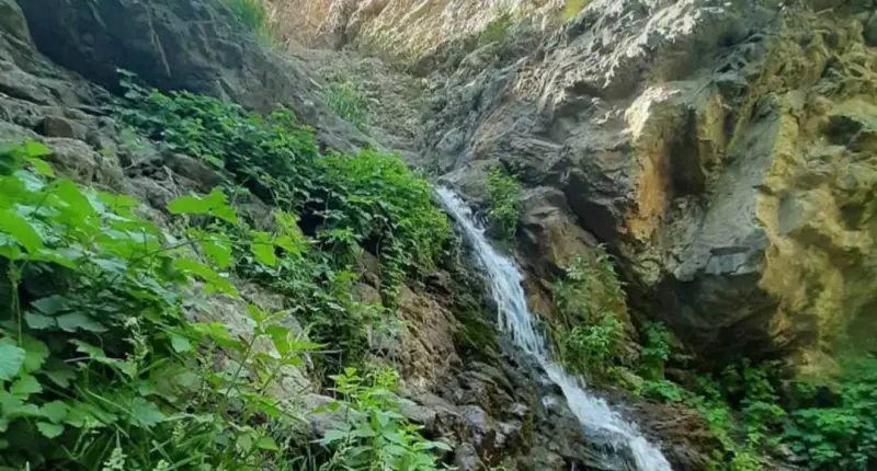 دره کوهسار - تصویر 1