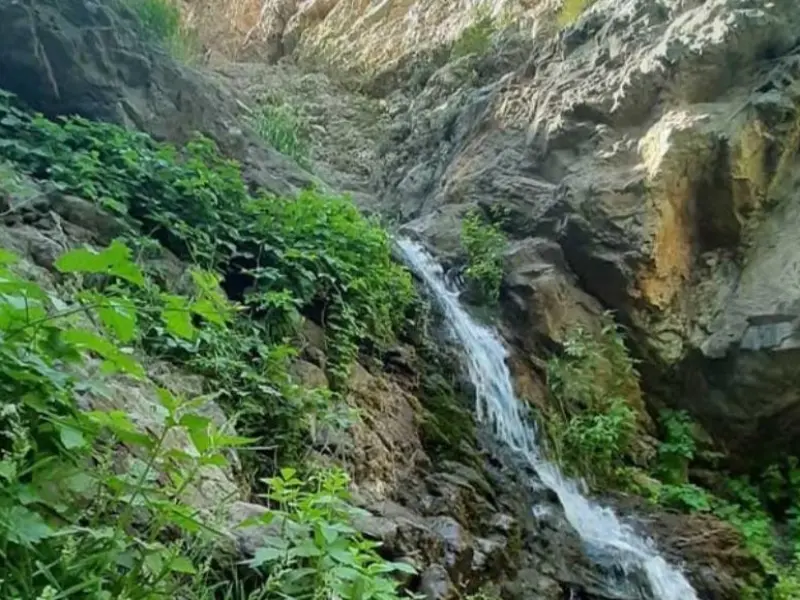 دره کوهسار - تصویر 1