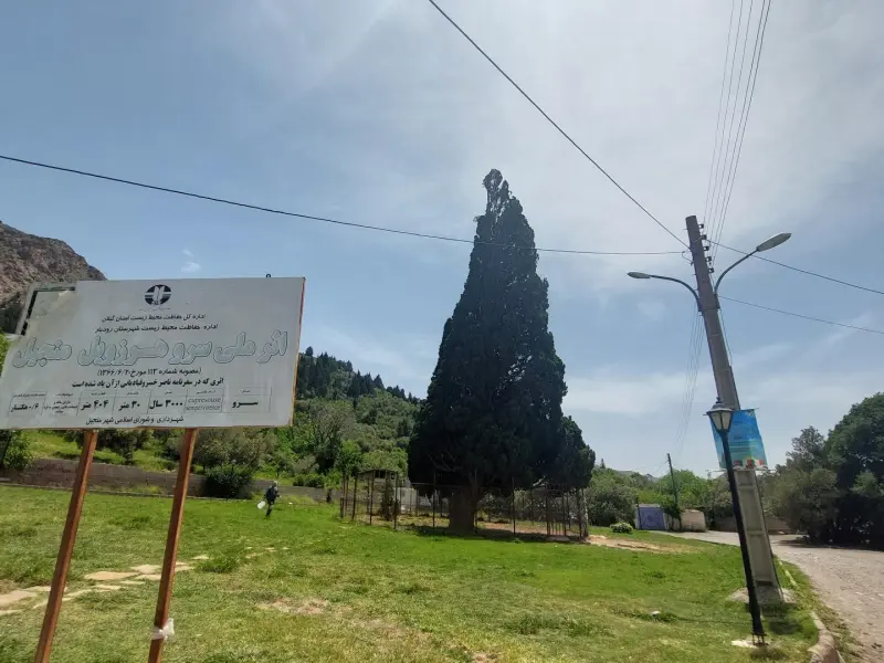 هرزویل - تصویر 3