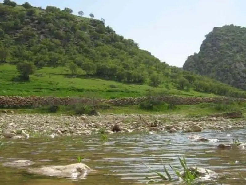 تنگ زنجیره