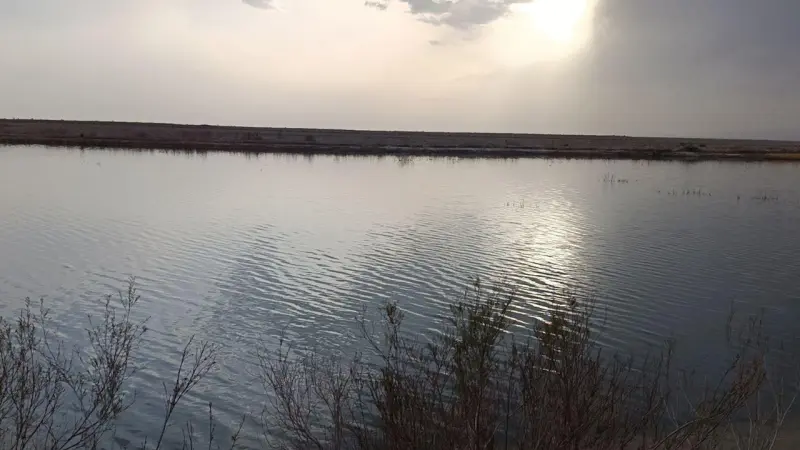 تالاب مژن‌ آباد - تصویر 2