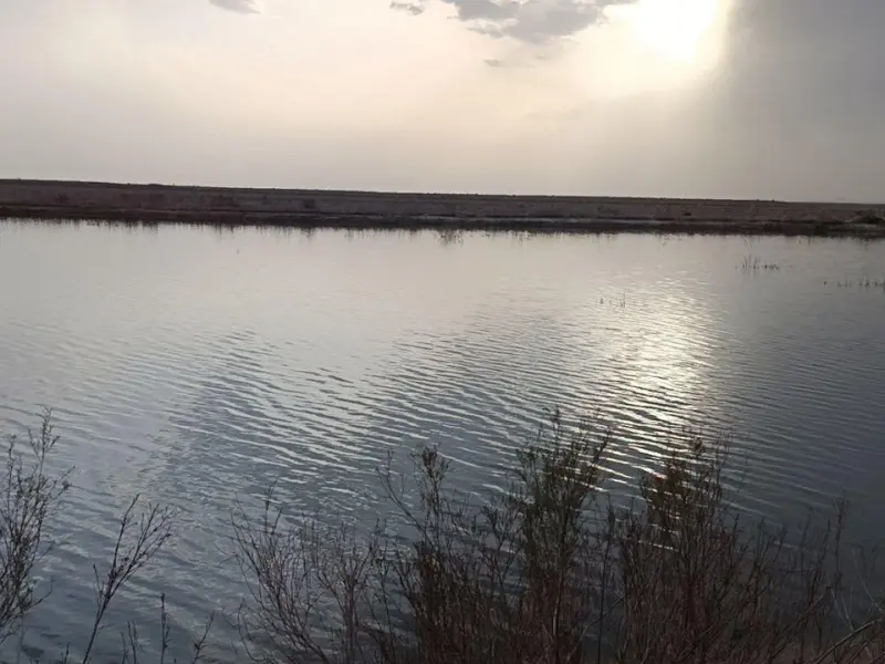 تالاب مژن‌ آباد - تصویر 2