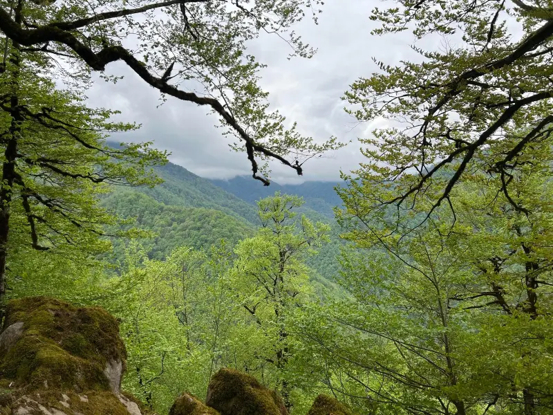 قله سه گیتی