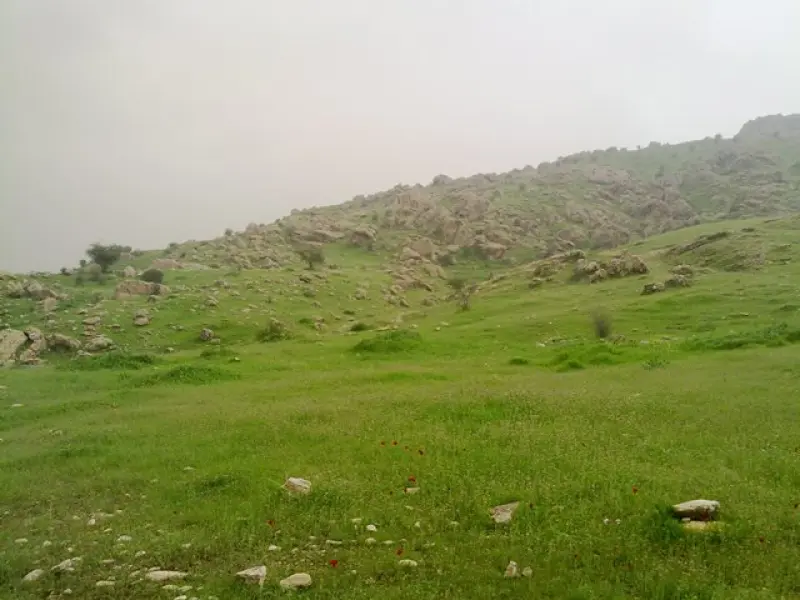 دشت لالی - تصویر 2