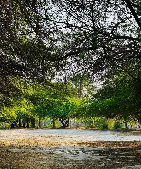 پارک جنگلی خلیج فارس، هرمزگان