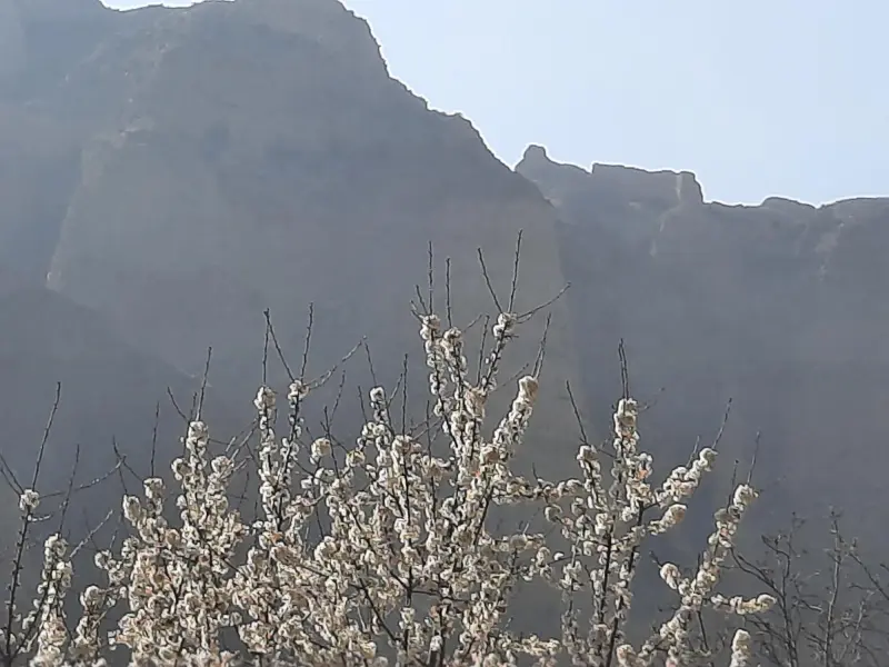قلعه کهرود - تصویر 1