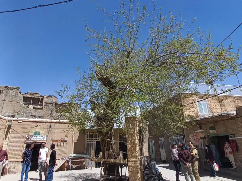 روستای خراشاد - تصویر 9