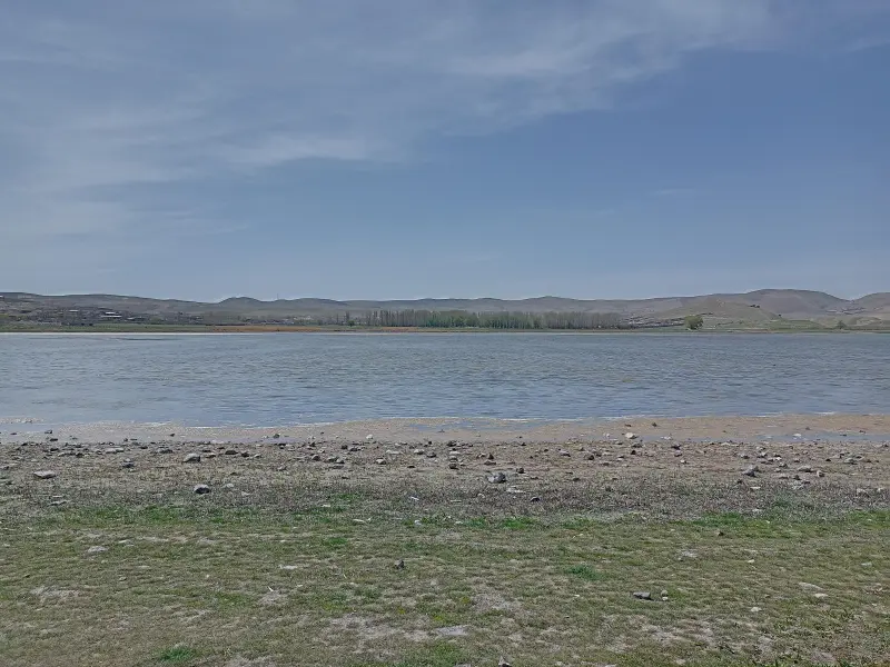 تالاب قوری‌ گل - تصویر 1