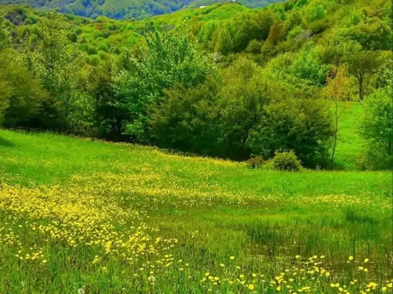 روستای داماش - تصویر 5