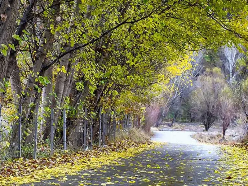 پارک جنگلی خیاوچای - تصویر 3