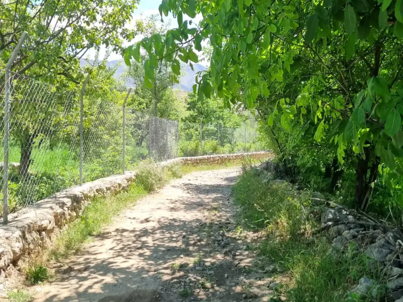 روستای بلغور - تصویر 8