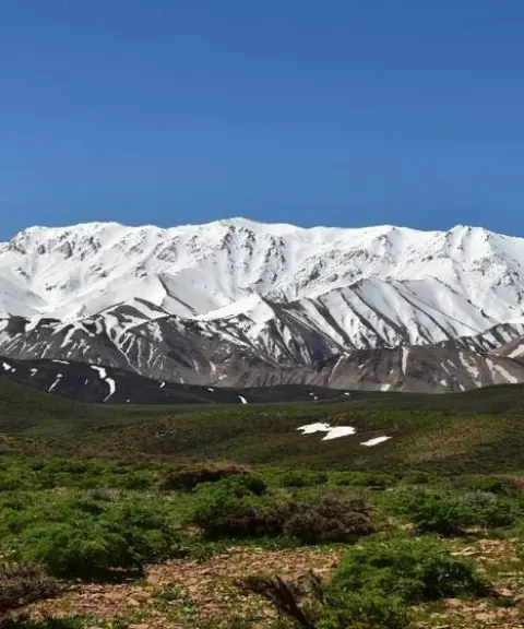 قالی کوه، لرستان