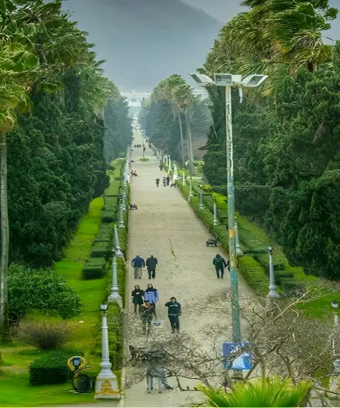 بلوار کازینو رامسر، مازندران