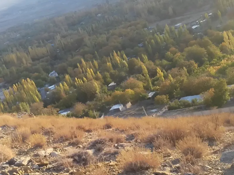 دهبکری