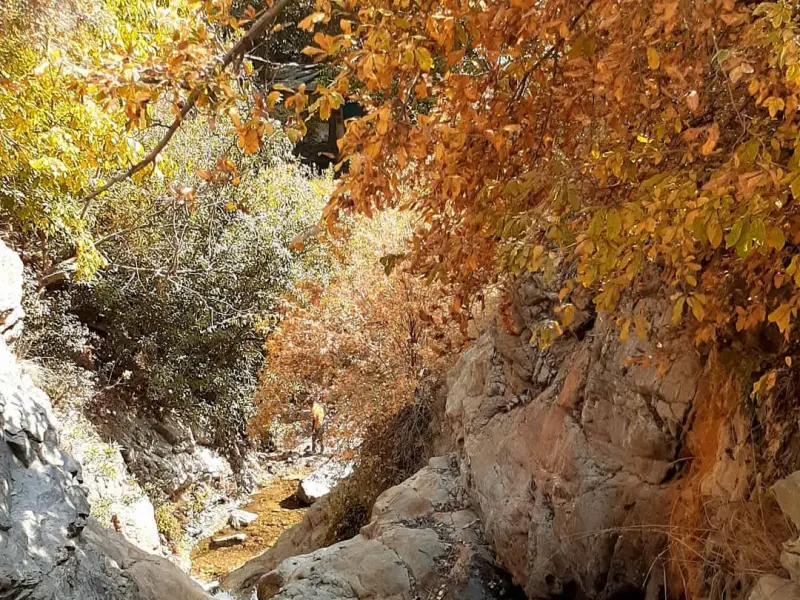 آبشار پسنگ - تصویر 2