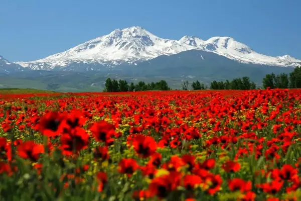 کوه سبلان - تصویر 6