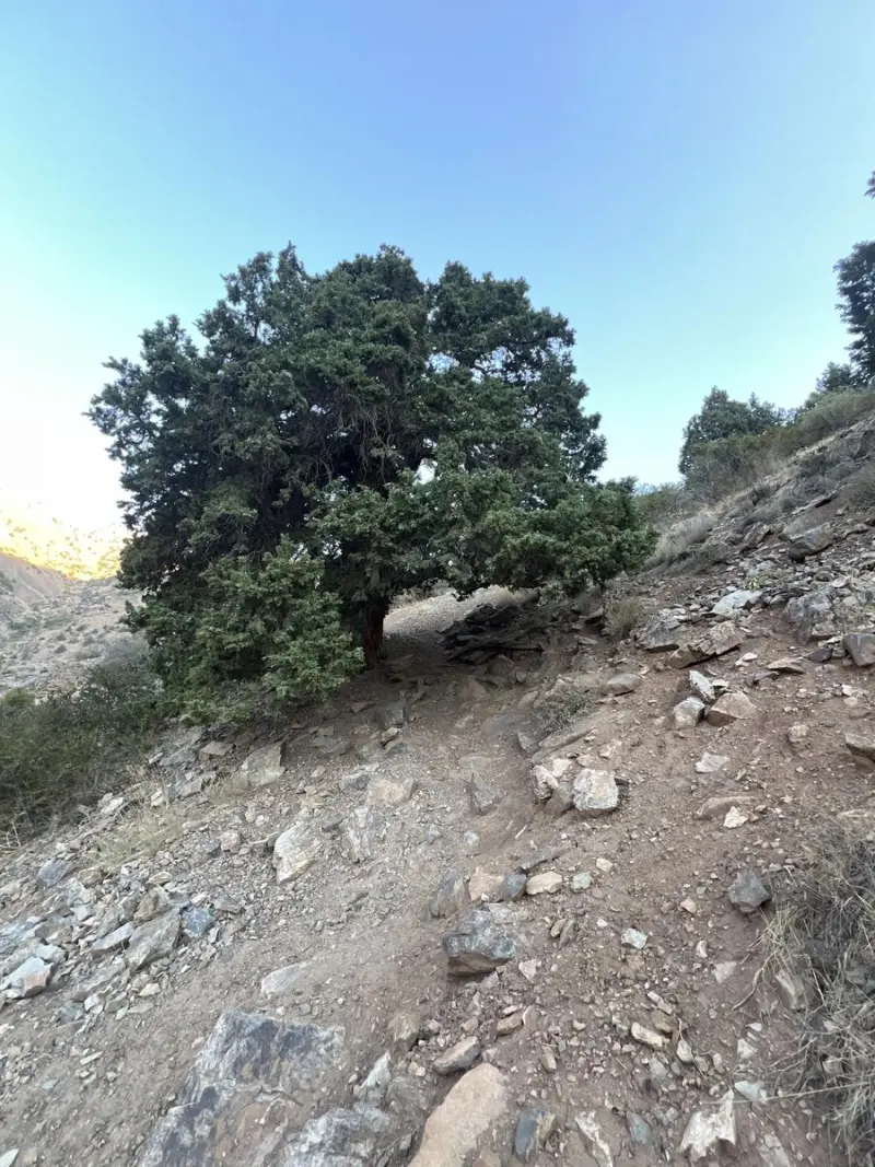 قله هزاربند - تصویر 1