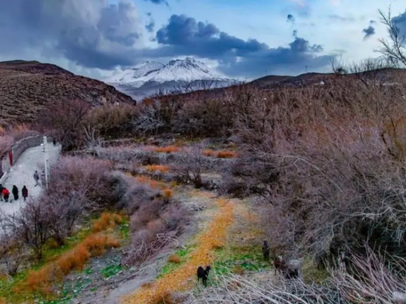 چشمه آب معدنی موسی - تصویر 1