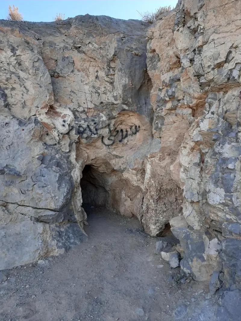 غار نباتی - تصویر 4