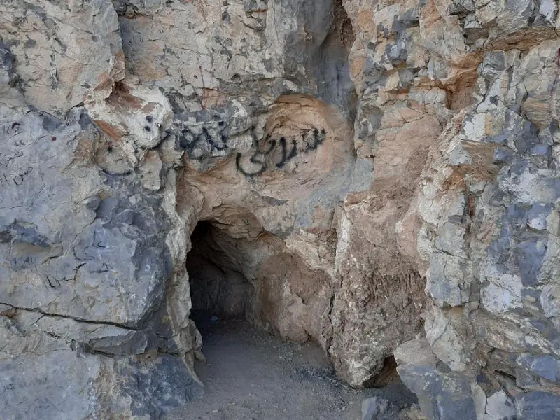 غار نباتی - تصویر 4