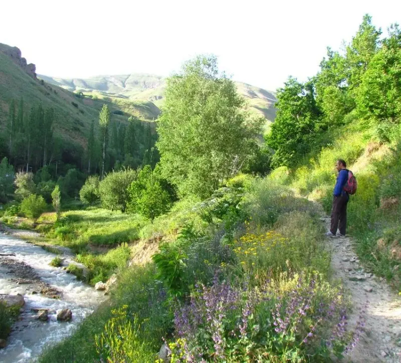 روستای گته ده - تصویر 3