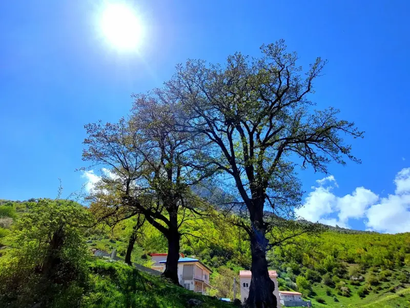 روستای اوریم