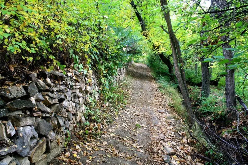 روستای ورده - تصویر 5