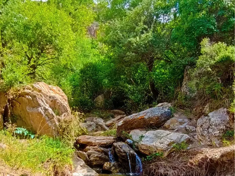 آبشار تک‌چای - تصویر 1