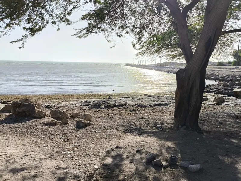 بوستان ساحلی‌ شغاب - تصویر 6