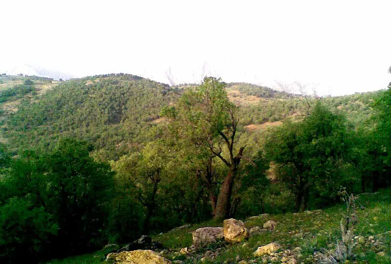 دره المون - تصویر 2