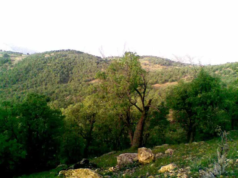 دره المون - تصویر 2