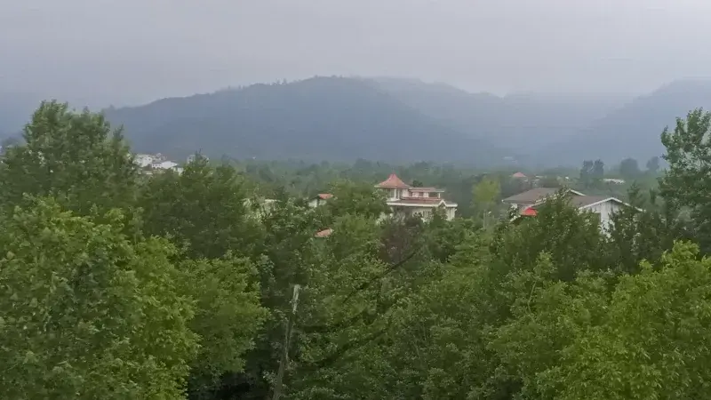 روستای بی‌بالان - تصویر 2