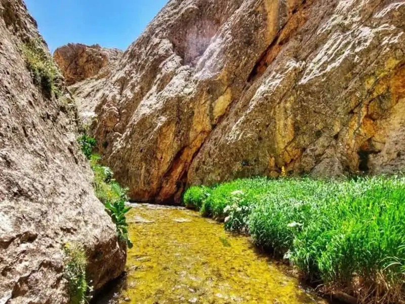 تنگه میشینه مرگ - تصویر 8
