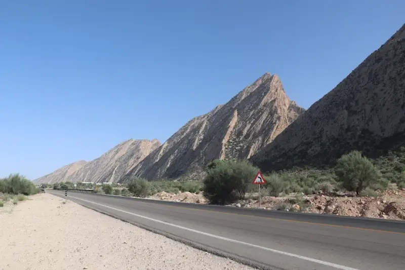 جنگل چاتیز - تصویر 2