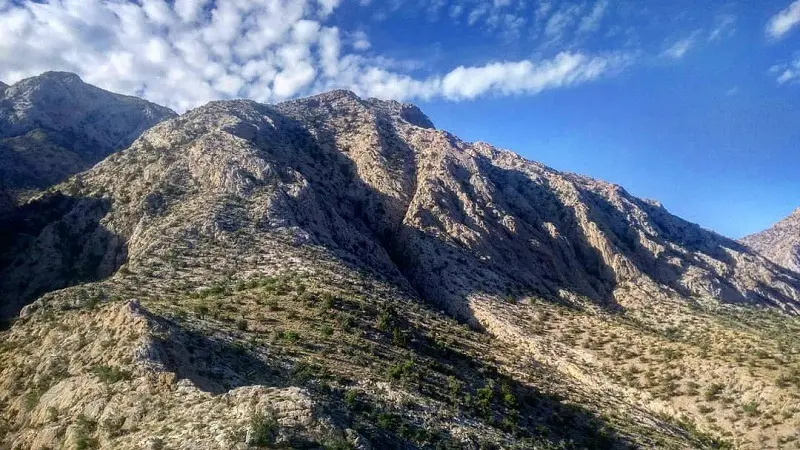 پناهگاه حیات‌وحش روچون - تصویر 3