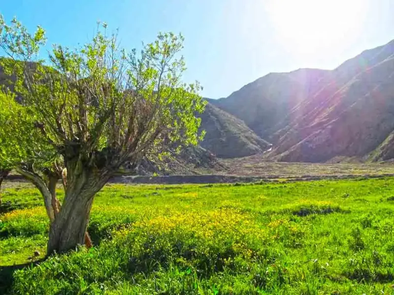 روستای افجه - تصویر 2