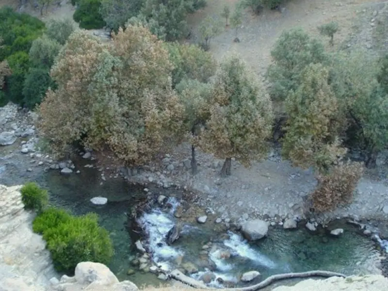 تنگ تهی - تصویر 6