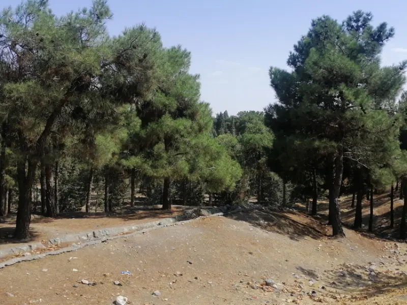 پارک جنگلی خرگوش دره - تصویر 1