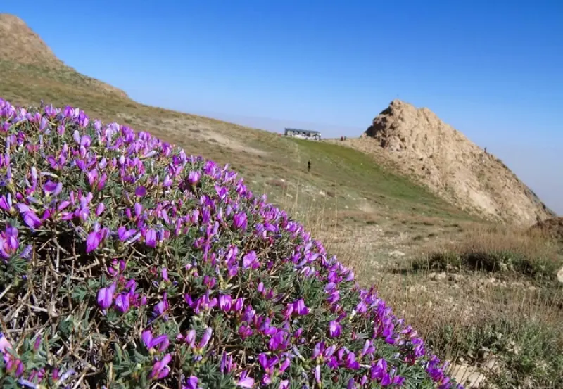کوه بل - تصویر 8