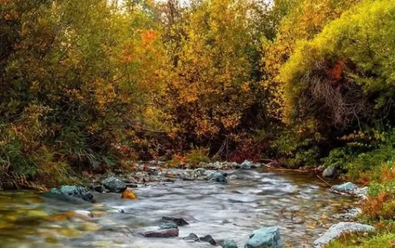 روستای ارنگه - تصویر 9