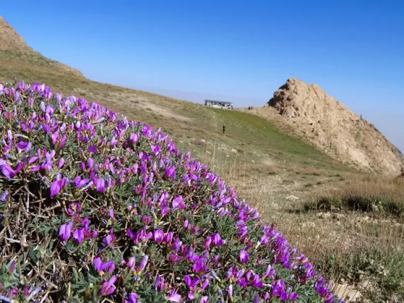 کوه بل - تصویر 8