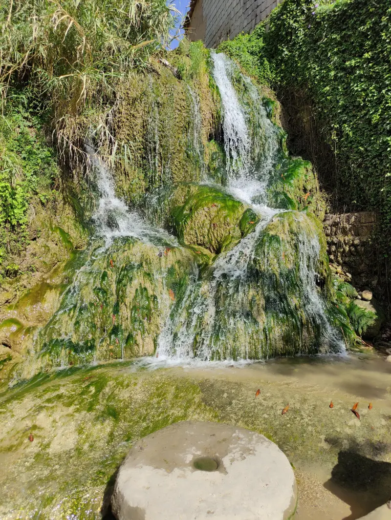 آبشار مروارید خفر - تصویر 1