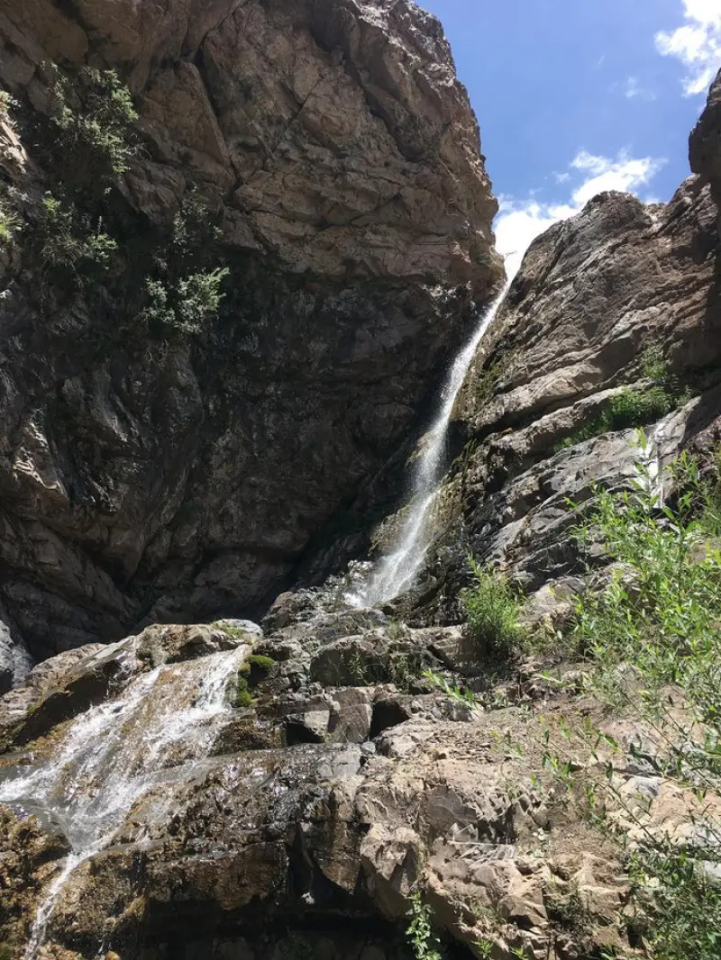 آبشار جنگلک - تصویر 4
