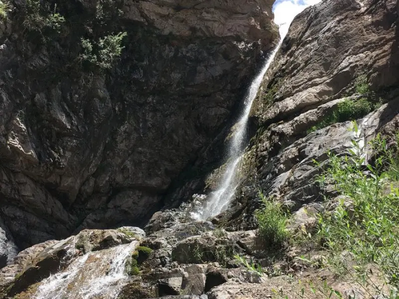آبشار جنگلک - تصویر 4