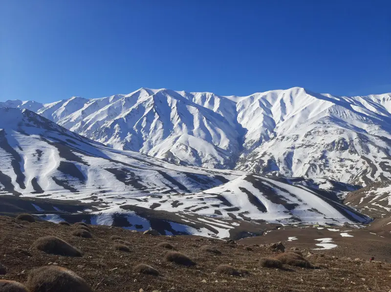 قله گل اندام - تصویر 1